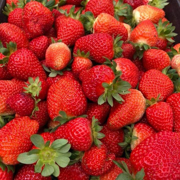 close up Strawberries
